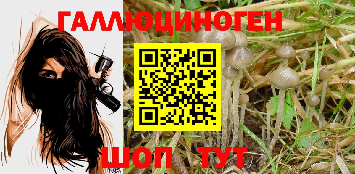 Ивантеевка  Псилоцибиновые грибы Magic Shrooms  Вход с VPN 